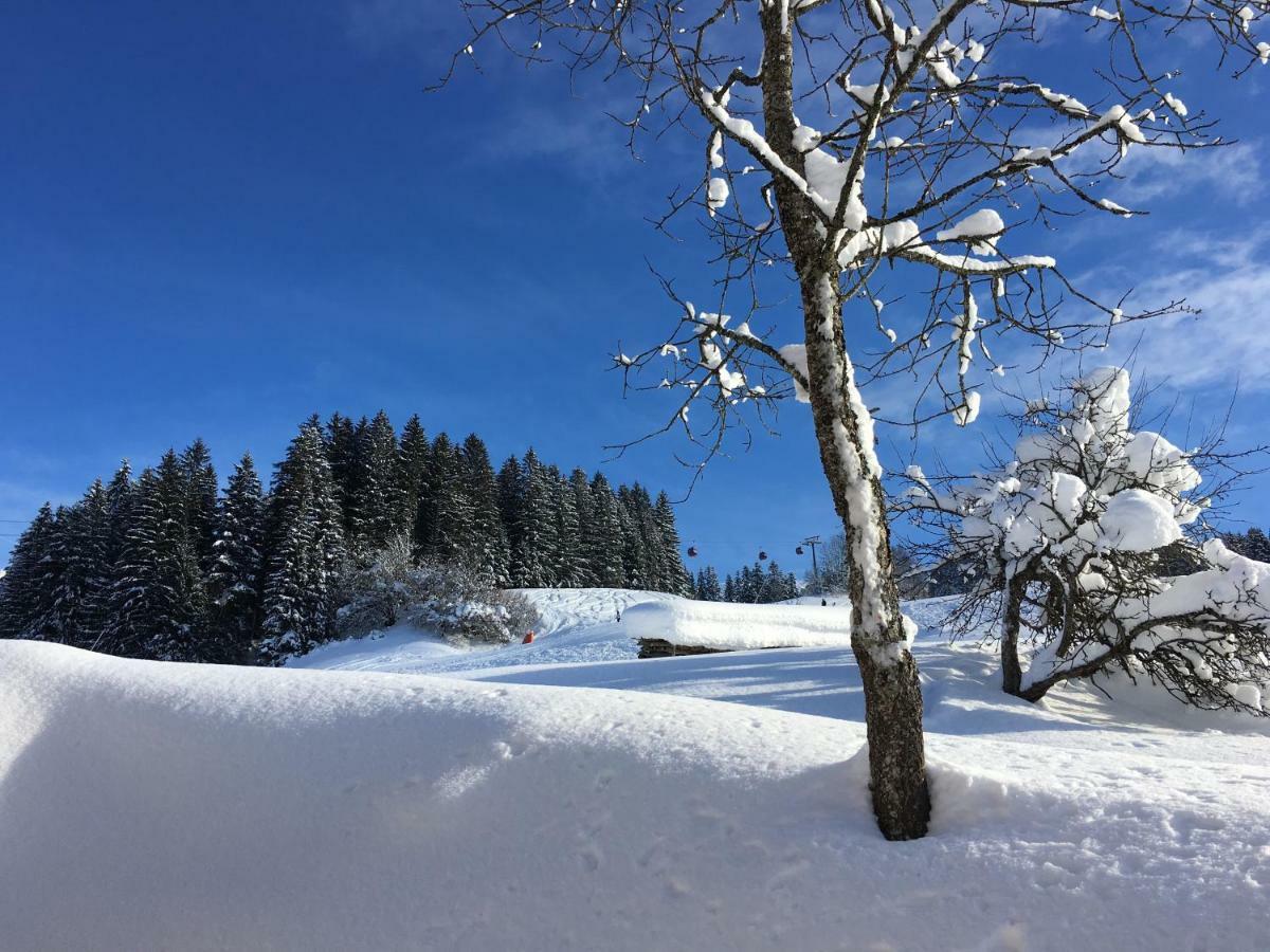 Beim Rohrer Appartement Kirchberg in Tirol Buitenkant foto