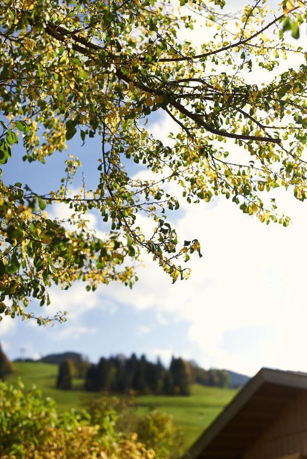 Beim Rohrer Appartement Kirchberg in Tirol Buitenkant foto